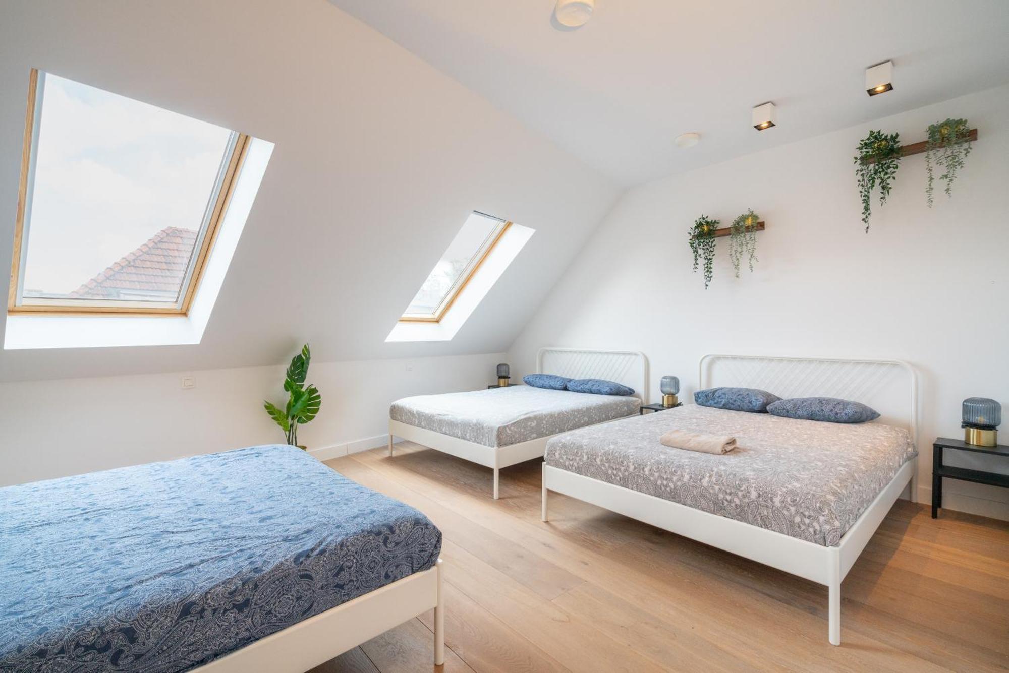 Light House Lodge. Apartment in Center of Antwerpen Buitenkant foto