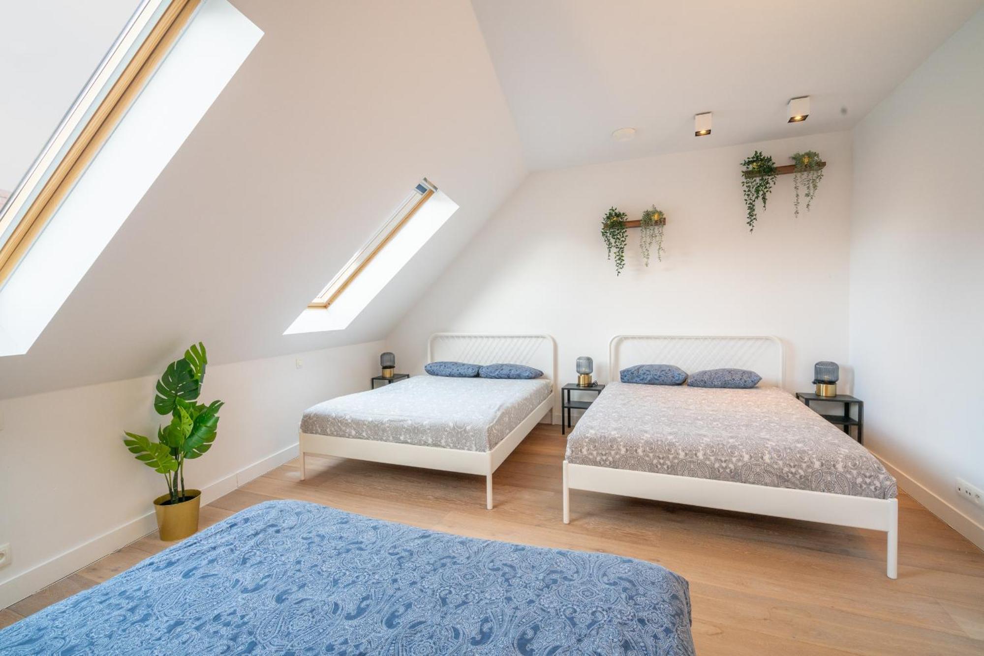 Light House Lodge. Apartment in Center of Antwerpen Buitenkant foto